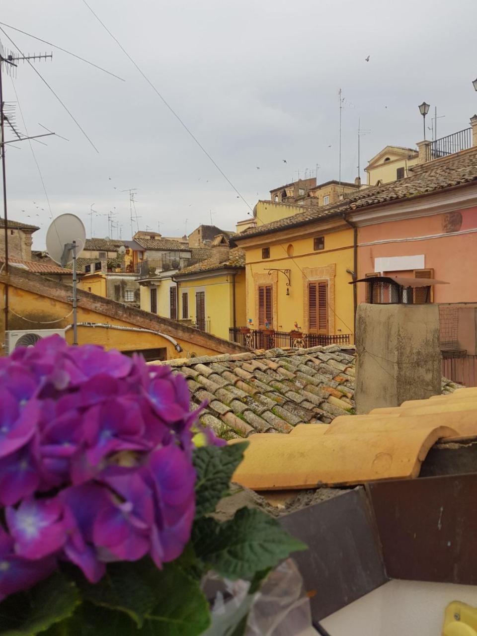 Appartamento Al Malvo'ランチャーノ エクステリア 写真